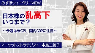 8月13日【日本株の乱高下、いつまで？～今週は米CPI、国内GDPに注目～】みずほウィークリーVIEW 中島三養子 [upl. by Gombosi]