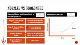 obstetrics 6 Normal labor  stages presentation position note writing [upl. by Nalhsa851]