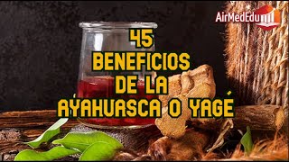 45 Beneficios de la Ayahuasca o yagé [upl. by Magdalene]