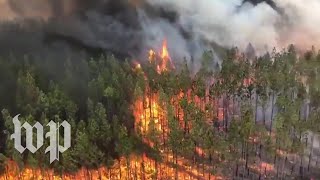 Australias wildfires are still raging Heres what you need to know [upl. by Macdermot]