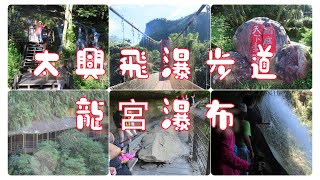 太興飛瀑步道龍宮瀑布片尾太興黃頭鷺2023820星期日 [upl. by Lonna594]