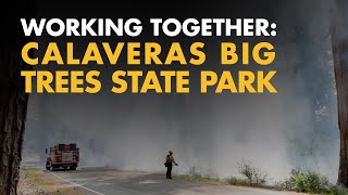 Working Together to Protect Calaveras Big Trees State Park [upl. by Ruscher]