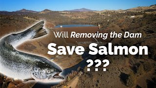 Will Dam Removal Save Salmon on the Klamath River [upl. by Yrolam]