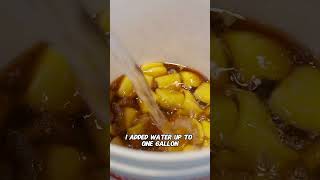 How to make Jackfruit Wine [upl. by Eelano484]