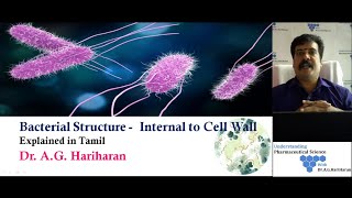 Bacterial Structure  Internal to Cell Wall Explained in Tamil [upl. by Posner]