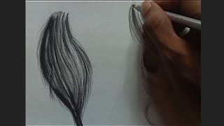 Hairstyle drawing long videos All  Realistic hairstyle drawing [upl. by Atteuqcaj]