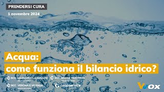 ACQUA COME FUNZIONA IL BILANCIO IDRICO [upl. by Mathre]