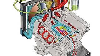 circulation deau Radiateur voiture  دوران الماء داخل محرك السيارة [upl. by Androw]