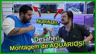 Desafiei uma LOJA em Montagem de AQUÁRIOS Quem venceu  Nutrifish [upl. by Katalin]