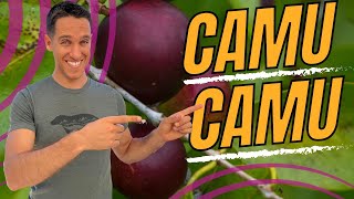 Benefits of Camu Camu  Amazonian Vitamin C Superpower [upl. by Laverne]