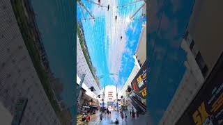 Zipline Fremont Street Las Vegas [upl. by Nahtnahoj]