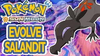 Catch a Female Salandit to Evolve to Salazzle Pokemon Sun Moon [upl. by Sirovat]