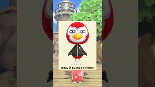 PART 4 Marshalls birthday twin animalcrossing animalcrossingnewhorizons acnh cozy game [upl. by Jeni633]