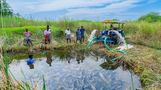 Pond Water Fish Catching and Cooking Fish Gravy in our Village  Country Fishing [upl. by Kahcztiy]