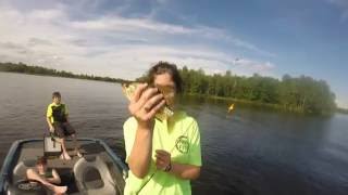 chippewa flowage summer pan fishing [upl. by Guimond]