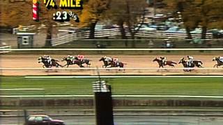 1988 Breeders Cup Juvenile [upl. by Daukas]