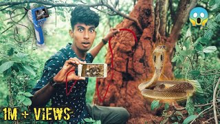 Entering Endoscopic Camera 📽️ Into Snake 🐍House 🤯 Shocking Result 🤔 mrnandhu [upl. by Atnwahsal225]