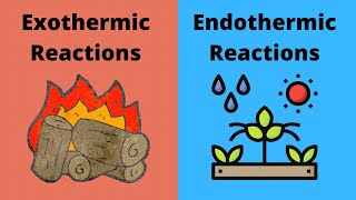 Exothermic vs Endothermic Chemical Reactions [upl. by Robbert]