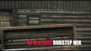 WE NO SPEAK AMERICANO  DJ M amp SOLE DUBSTEP REMIX [upl. by Essile]