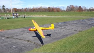 Rolands Seagull 3M Ka8B Sailplane [upl. by Sigismundo288]