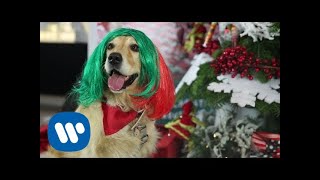 SIA – Puppies Are Forever  Warner Music Italy [upl. by Asilat]