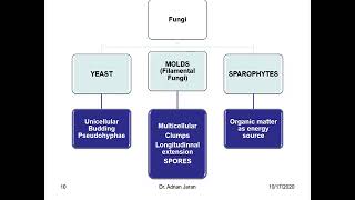 Mycology Introduction [upl. by Nola]