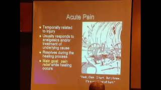 Montana Pain Conference 2008 2 What is Ideal PainMmanagement [upl. by Myca]