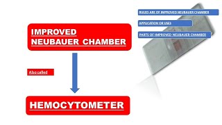 Improved Neubauer Chamber  Hemocytometer  Simplified Explanation [upl. by Annetta]