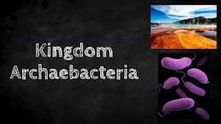 Kingdom Archaebacteria [upl. by Mort]