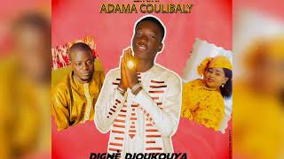 zikiri Adama Coulibaly tirer Digné Djoukouya Audio 2023 [upl. by Geller]