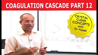 Coagulation Cascade  Part 1212 [upl. by Grannia66]