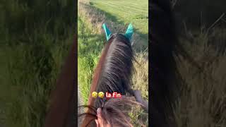 A cru en robe 🥴🥴 traversée chevaux cheval chevalpassion equestrian [upl. by Kent]