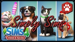 Die Sims 4 I Hunde und Katzen LIVE Facecam EA ID AndOneGirl [upl. by Enitsej]