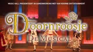 Doornroosje de sprookjesmusical [upl. by Nadiya]