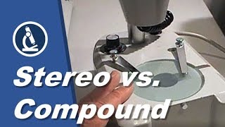 🔬 006  What are the differences between STEREO and COMPOUND MICROSCOPES [upl. by Carrington]