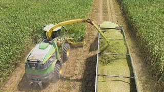 South Texas Silage Harvest 2021 [upl. by Alic7]