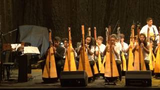 Iguazú en Concierto 2013  Orquesta de Arpas Sonidos de la Tierra Paraguay [upl. by Diet]