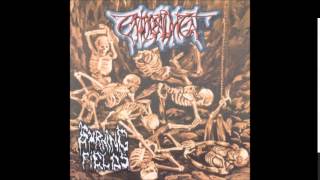 Enthrallment  Burning Fields Full EP [upl. by Treva404]