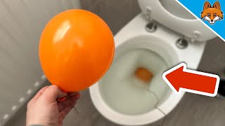 JEDER steckt einen BALLON in die Toilette 💥 DAS ist der Grund 🤯 [upl. by Koal]