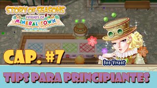 ⭐Story of Seasons guía Concurso Gastronómico 7 [upl. by Trik230]