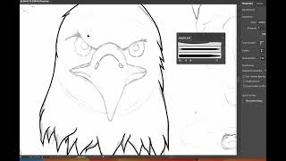 eagle speed paint [upl. by Franck]