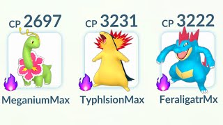 LvL 50 SHADOW JOHTO STARTERS TEAM in POKEMON GO [upl. by Attem]