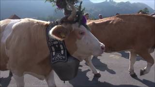 39ème Désalpe de Charmey du 29092018 en Gruyère Suisse [upl. by Sybley]