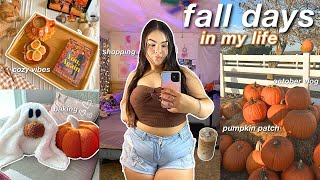 PRODUCTIVE FALL DAYS IN MY LIFE pumpkin patch baking cozy vlog  romanticizing fall [upl. by Honoria]