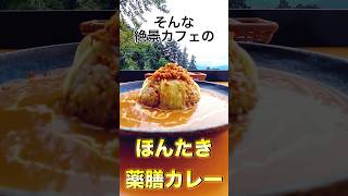 お寺のカフェのカレーが絶品！ 本瀧寺 ほんたき寺巣 薬膳カレー [upl. by Assennev]