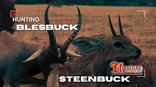 Blesbuck amp Steenbuck Hunt in South Africa  Hercules Safaris Adventure [upl. by Irtemed99]