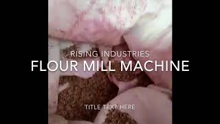 Flour Mill Machine [upl. by Mcgee561]