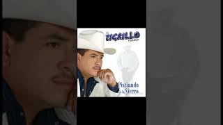 El tigrillo palma corridos y canciones mix [upl. by Adaiha647]