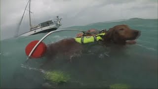 HURRICANE HELENE The US Coast Guard saves a man amp his dog near Sanibel Island in Florida [upl. by Eleni724]