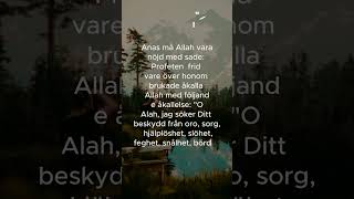 Hadith på svenska hadithpåsvenska islamse koranenpåsvenska [upl. by Yrrag]